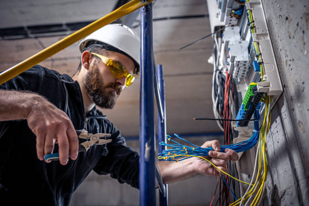 Best Home Electrical Repair  in Walworth, WI