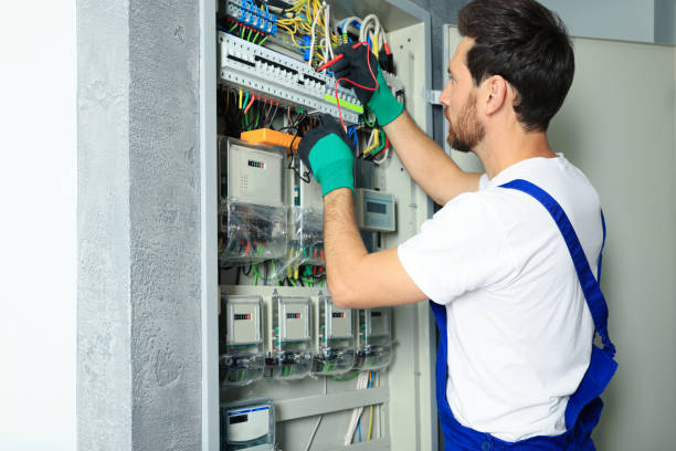 Best Electrician for Home Renovation  in Walworth, WI